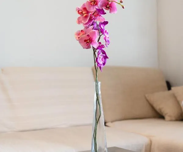 Vibe & Free Garage Split